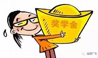 国家励志奖学金申请材料