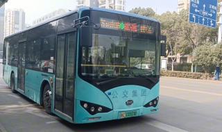 2024全国物流停运表图片