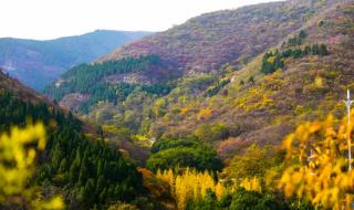 人间忽晚山河已秋意思