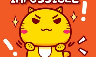impossibleisnothing
