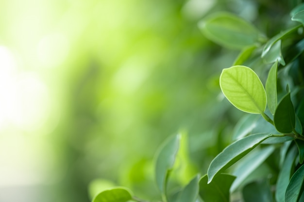 教程辅助!“越乡游斗牛有没有挂”原来真可以开挂